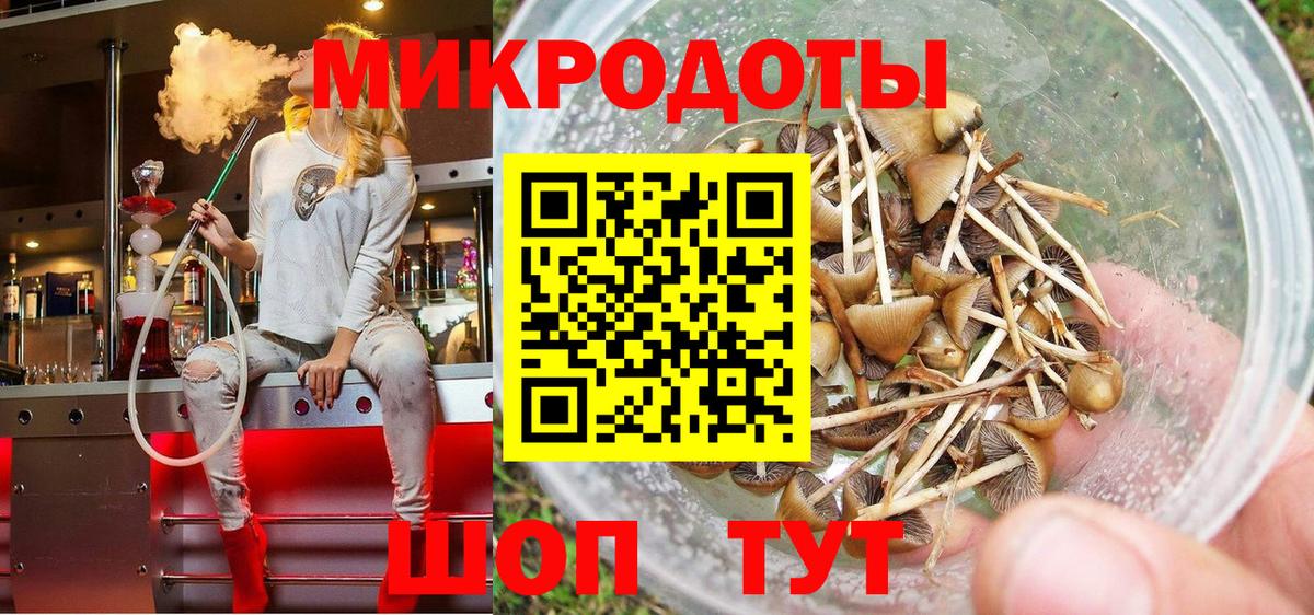 Псилоцибиновые грибы GOLDEN TEACHER Дальнереченск